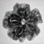 1MK(Underdeveloped) 22.1mm 3.88gm - Inverse xray