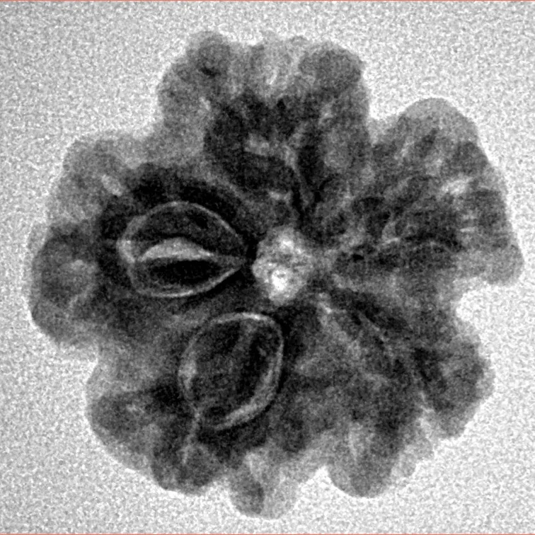 1MK(Underdeveloped) 22.1mm 3.88gm - Inverse xray