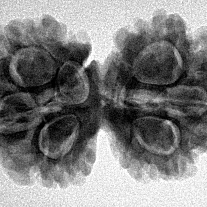 7 MK Gaurishankar 30.9mm 5.11gm - Inverse xray