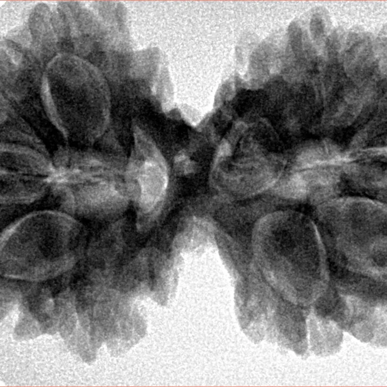 11 MK Gaurishankar 36.5mm 7.37gm - Inverse xray