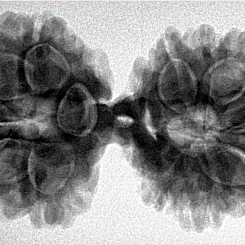 13 MK Gaurishankar 38.3mm 7.11gm - Inverse xray