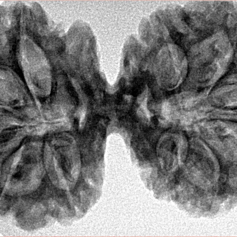 11 MK Gaurishankar 38.1mm 6.35gm - Inverse xray