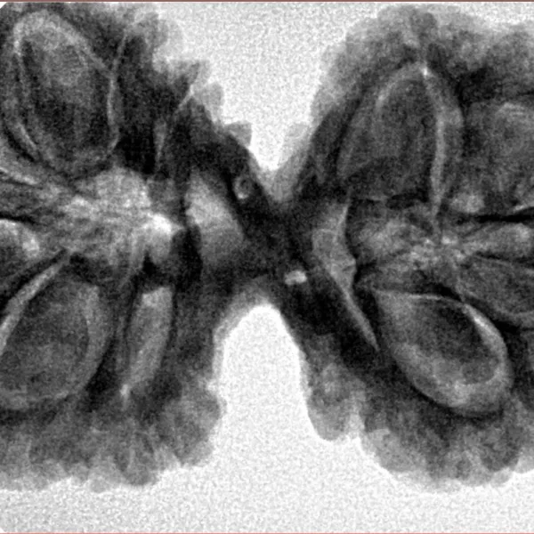 11 MK Gaurishankar 40.6mm 9.22gm - Inverse xray