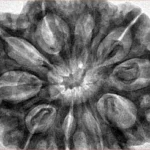 10 Mukhi Ganesh 34.7mm 8.7gm - Inverse xray