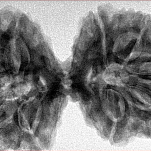 10 Mk Gaurishankar 40.5mm 9.38gm - Inverse xray