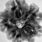 1MK(Underdeveloped) 22mm 3.33gm - Inverse xray
