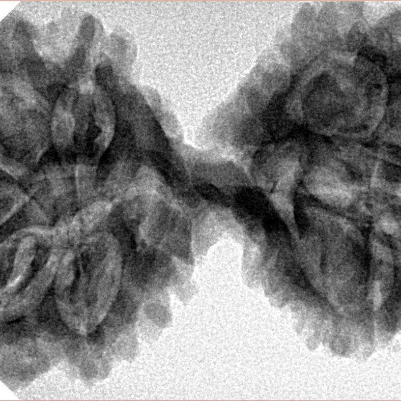 11 MK Gaurishankar 41.6mm 7.82gm - Inverse xray