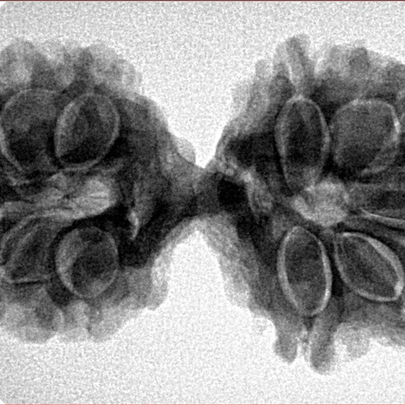 11 MK Gaurishankar 35.1mm 5.9gm - Inverse xray