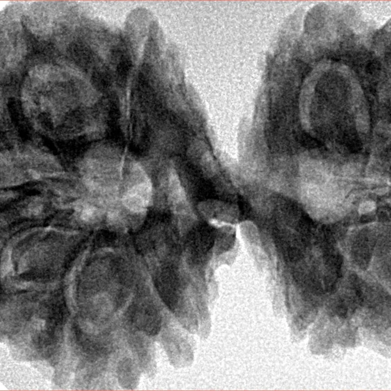11 MK Gaurishankar 37.2mm 7.17gm - Inverse xray
