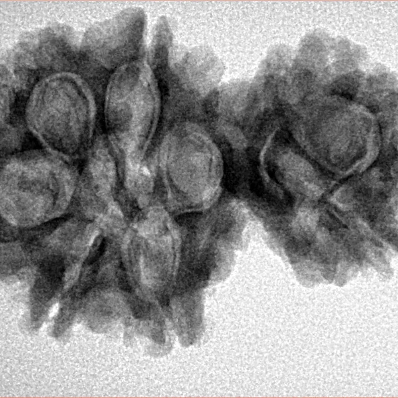 7 MK Gaurishankar 31.1mm 4.91gm - Inverse xray