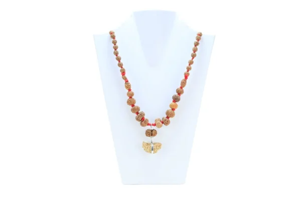 1 to 14 Mukhi Rudraksha Mala ( Siddha Mala ) - Certificate: DCL/2026/B/0055 - Mala Image