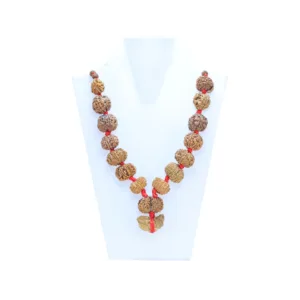 1 to 14 Mukhi Rudraksha Mala ( Siddha Mala ) - Certificate: DCL/2026/B/0032 - Mala Image