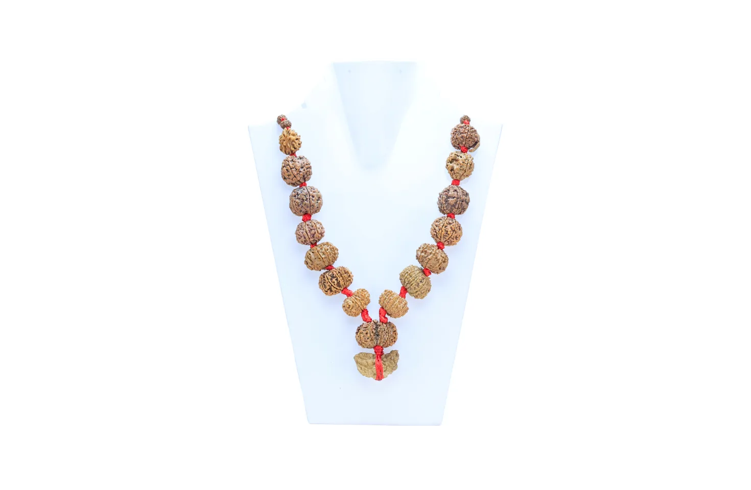 1 to 14 Mukhi Rudraksha Mala ( Siddha Mala ) - Certificate: DCL/2026/B/0032 - Mala Image