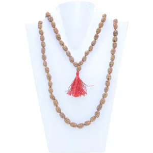 2 Mukhi Indonesian Mala - Mala Image