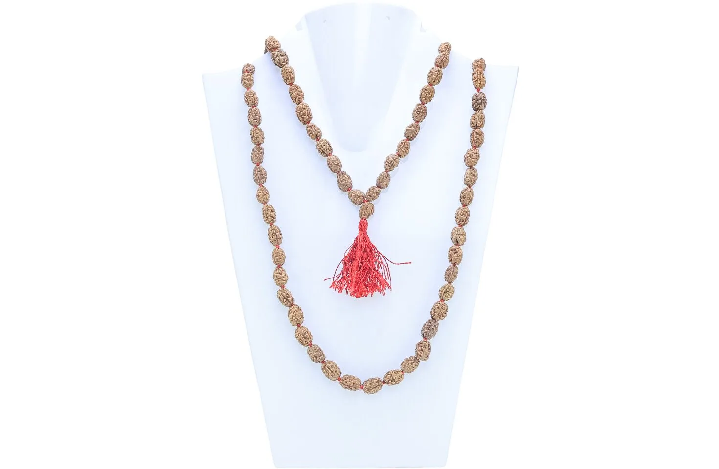 2 Mukhi Indonesian Mala - Mala Image