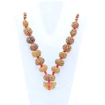 1 to 14 Mukhi Rudraksha Mala ( Siddha Mala ) - Certificate: DCL/2026/B/0049 - Mala Image