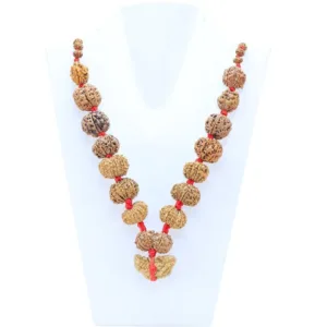 1 to 14 Mukhi Rudraksha Mala ( Siddha Mala ) - Certificate: DCL/2026/B/0049 - Mala Image