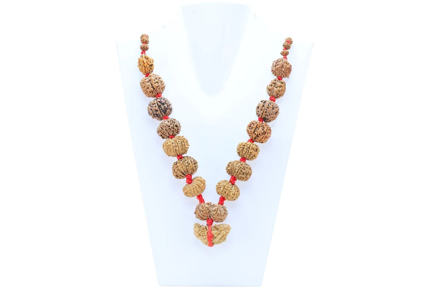 1 to 14 Mukhi Rudraksha Mala ( Siddha Mala ) - Certificate: DCL/2026/B/0049 - Mala Image