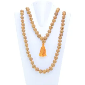 6 Mukhi Indonesian Mala - Certificate: DCL/2026/B/0041 - Mala Image