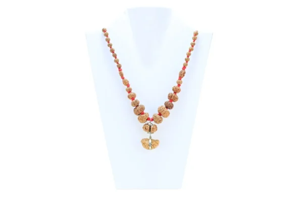 1 to 14 Mukhi Rudraksha Mala ( Siddha Mala ) - Certificate: DCL/2026/B/0054 - Mala Image