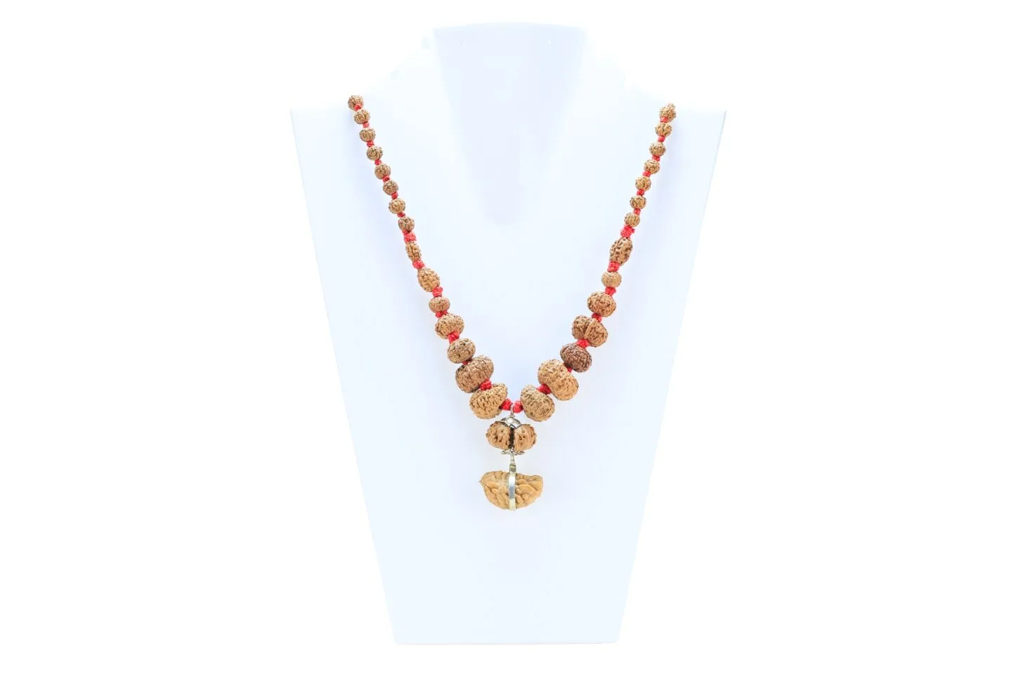 1 to 14 Mukhi Rudraksha Mala ( Siddha Mala ) - Certificate: DCL/2026/B/0054 - Mala Image