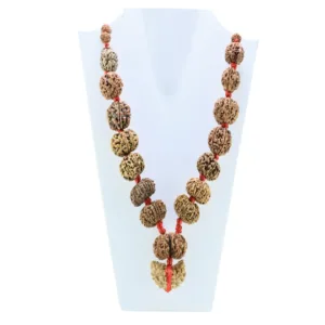 1 to 14 Mukhi Rudraksha Mala ( Siddha Mala ) - Certificate: DCL/2026/B/0012 - Mala Image