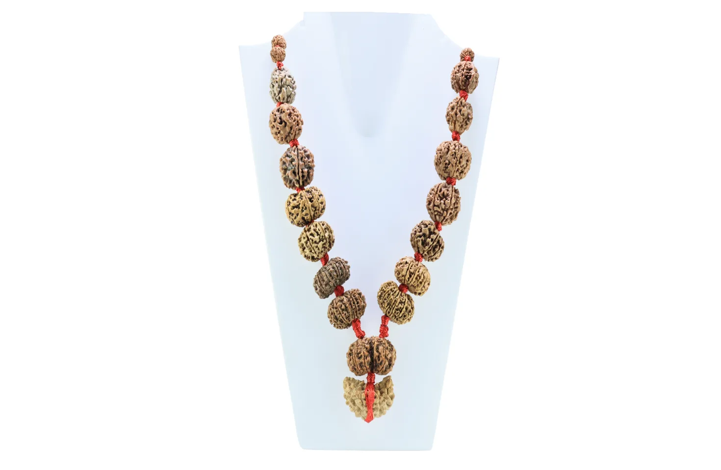 1 to 14 Mukhi Rudraksha Mala ( Siddha Mala ) - Certificate: DCL/2026/B/0012 - Mala Image