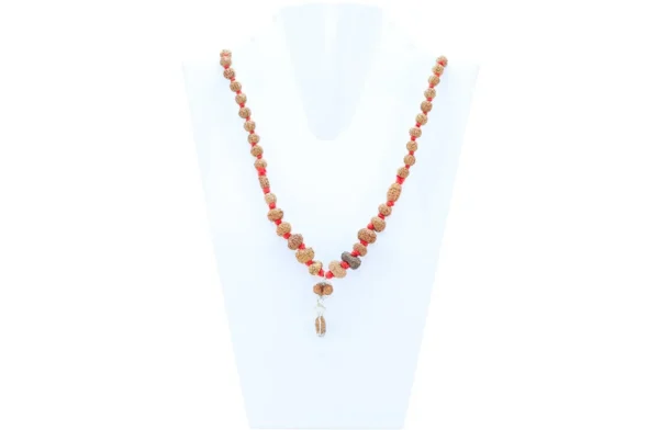 1 to 14 Mukhi Rudraksha Mala ( Siddha Mala ) - Certificate: DCL/2026/B/0048 - Mala Image