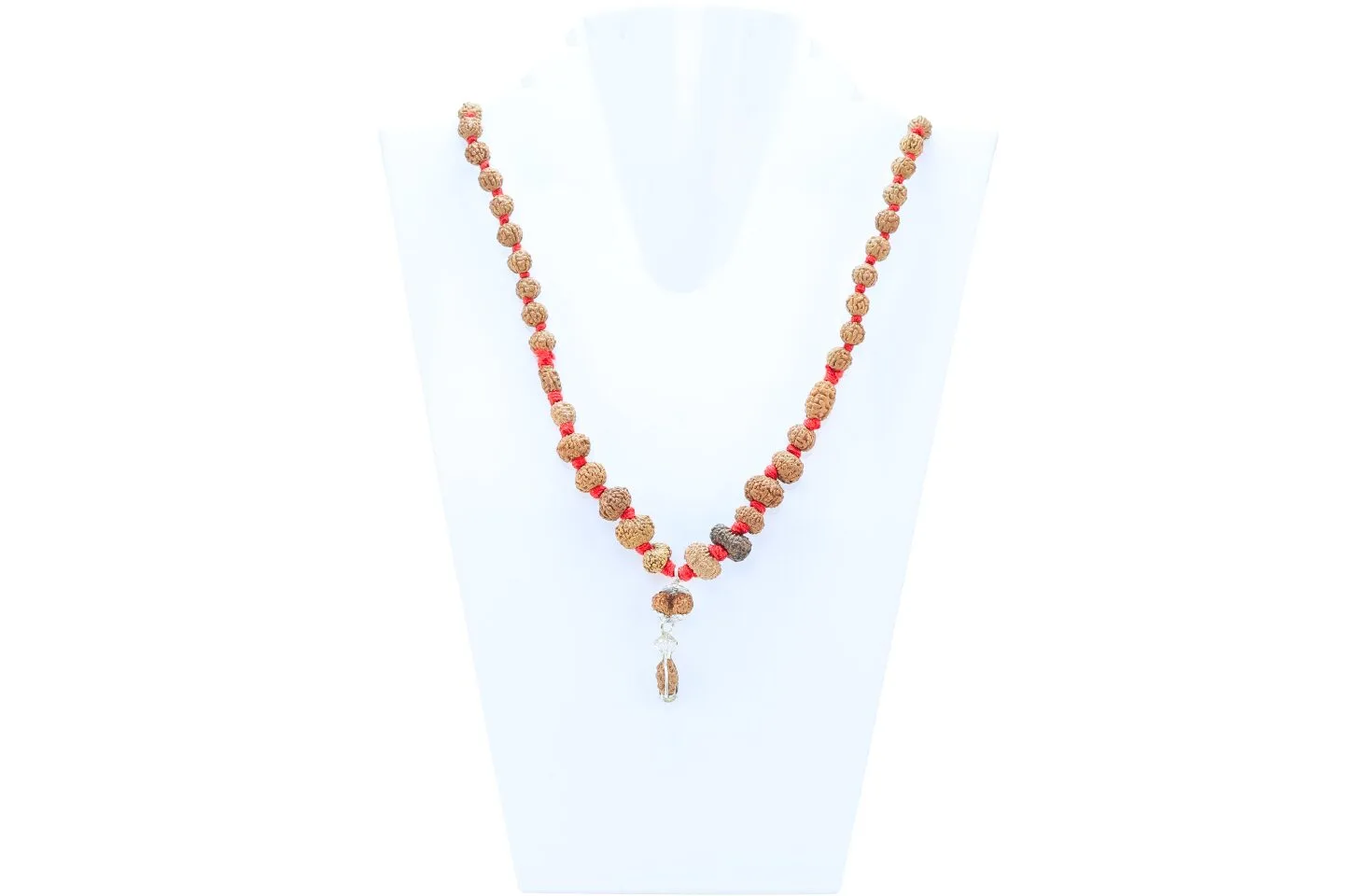 1 to 14 Mukhi Rudraksha Mala ( Siddha Mala ) - Certificate: DCL/2026/B/0048 - Mala Image
