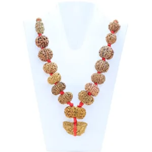1 to 14 Mukhi Rudraksha Mala ( Siddha Mala ) - Certificate: DCL/2026/B/0050 - Mala Image