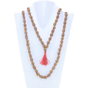 3 Mukhi Indonesian Mala - Certificate: DCL/2026/B/0035 - Mala Image