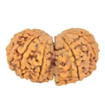 10 Mk Gaurishankar 37.1mm 7.33gm - Rudraksha back