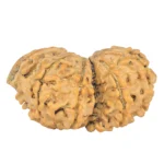 10 Mukhi G.S & Ganesh 30.5mm 3.08gm - Rudraksha back