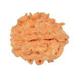 1 Mukhi Rudraksha 21mm 2.69gm - Rudraksha back