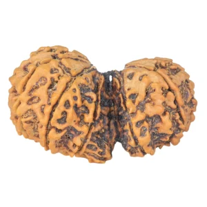 11 MK Gaurishankar 37.2mm 7.17gm - Rudraksha back
