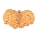 10 Mk Gaurishankar 42.7mm 10.98gm - Origin: Nepal - Rudraksha back