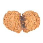 11 MK Gaurishankar 35.1mm 5.9gm - Rudraksha back