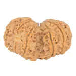 10 Mk Gaurishankar 39.7mm 8.71gm - Rudraksha back