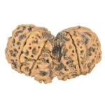 10 Mk Gaurishankar 39.9mm 7.32gm - Rudraksha back