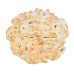 1 Mukhi Rudraksha 18.6mm 2.3gm - Rudraksha back