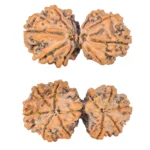 10 Mk Gaurishankar 39.4mm 8.58gm - Rudraksha