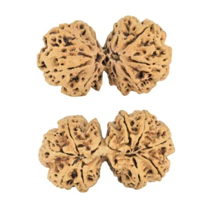 9 MK Gaurishankar 41.4mm 5.61gm - Rudraksha