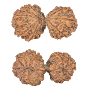 11 MK Gaurishankar 38.9mm 6.9gm - Rudraksha