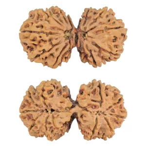 11 MK Gaurishankar 41.4mm 8.17gm - Rudraksha