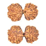 10 Mk Gaurishankar 39.6mm 8.3gm - Rudraksha