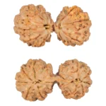 10 Mk Gaurishankar 40.1mm 8.78gm - Rudraksha