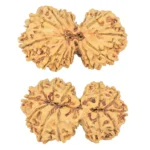 12 MK Gaurishankar 36.8mm 5.32gm - Rudraksha