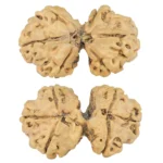 6 Mk Gaurishankar 32.3mm 4gm - Rudraksha