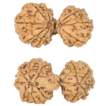 12 MK Gaurishankar 37.8mm 7.21gm - Rudraksha