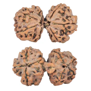 7 MK Gaurishankar 30.6mm 4.66gm - Rudraksha